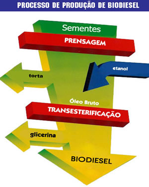 Obtençao Do Biodiesel - Brasil Escola